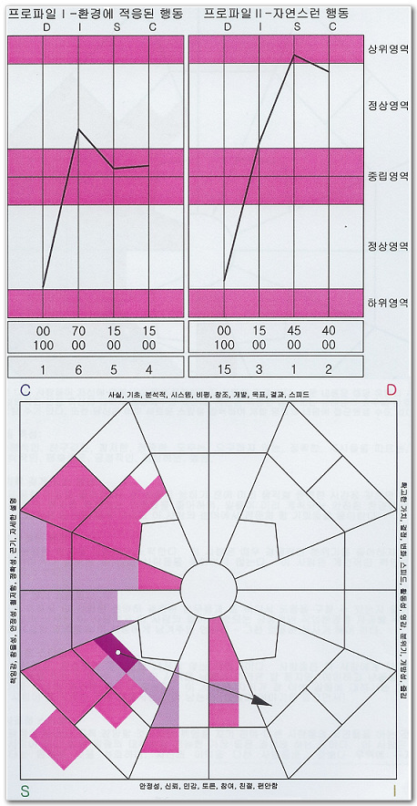 DISC 결과